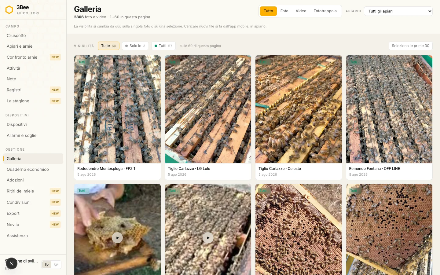 Galleria dell'app 3Bee con foto e video dalle fototrappole e dalle ispezioni, filtrabili per apiario e per camera