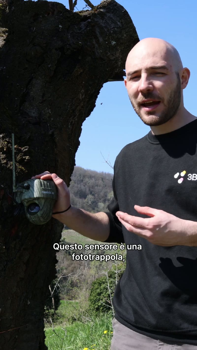 Fototrappola 3Bee installata a bordo apiario