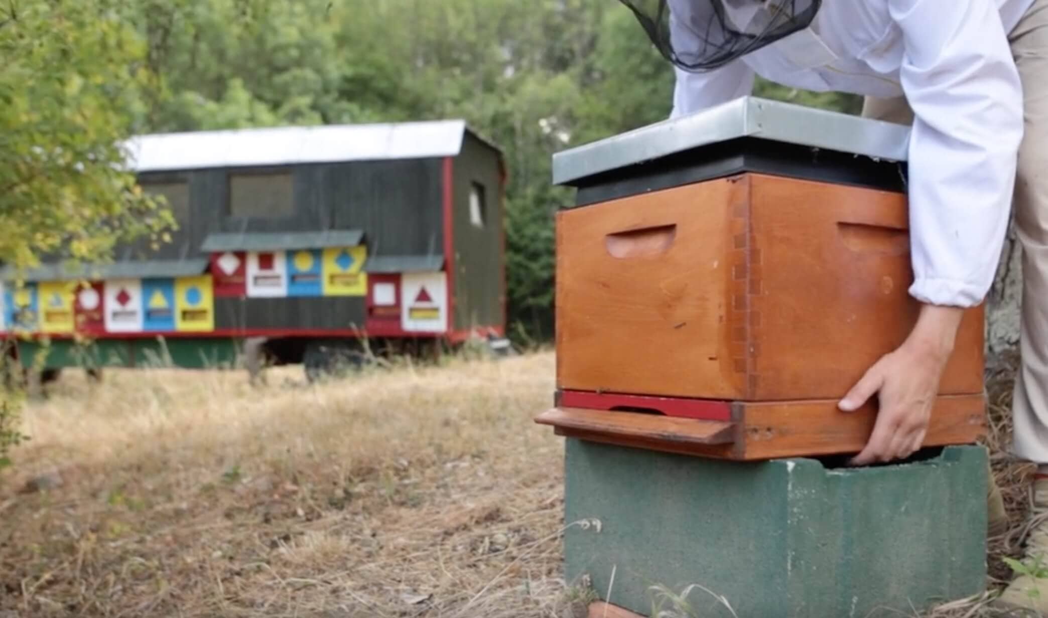 Azienda agricola con arnie monitorate da Hive-Tech