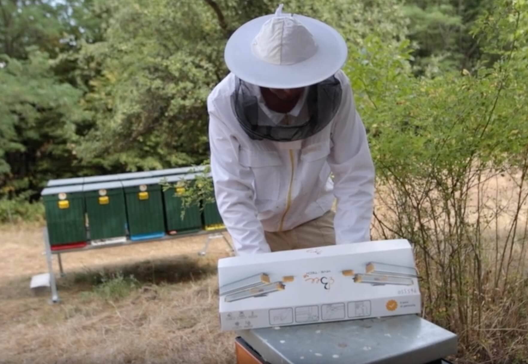 Apicoltore nomade che sposta gli apiari