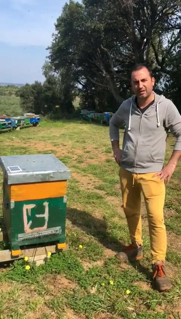 Fabio Galati, Apicoltura Galati
