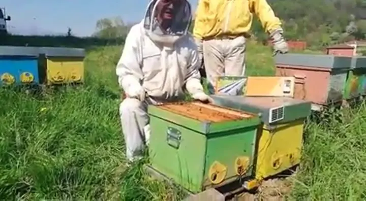 Michele Pirola, Apicoltura La Molinata