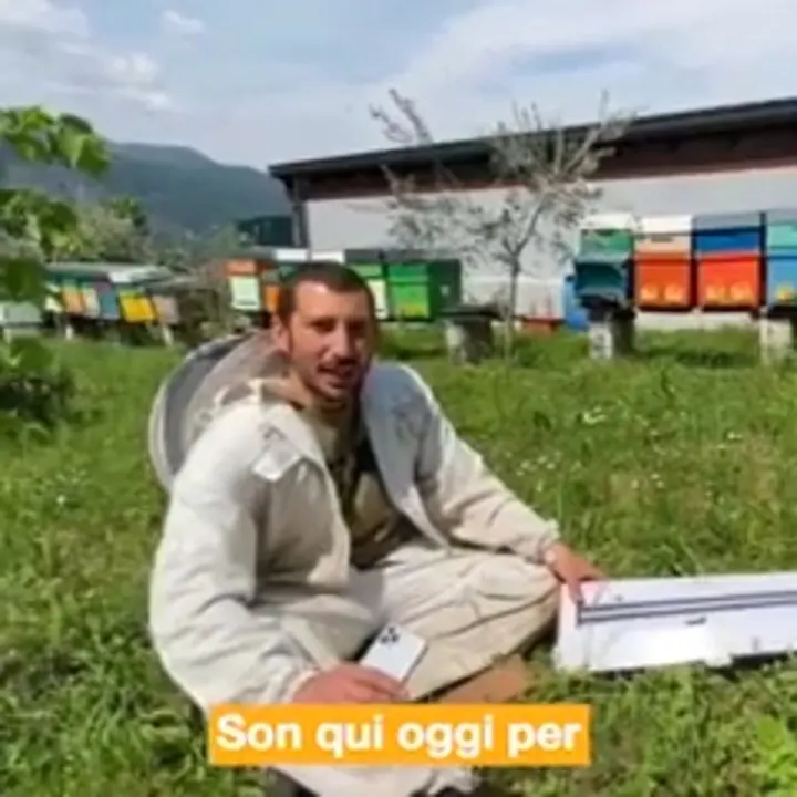 Igor, Elmemele
