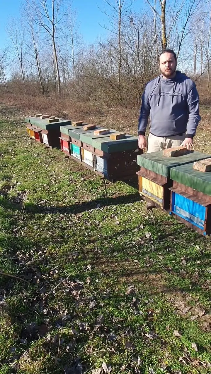 Luca Custenaro, Apicoltore 3Bee
