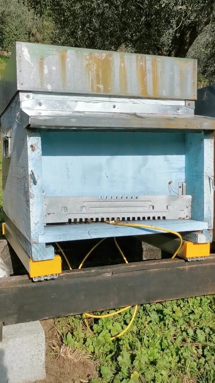 Giulio, Apicoltore 3Bee