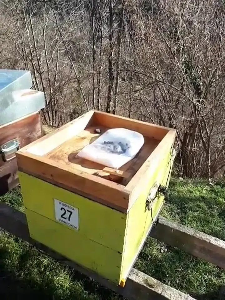 Molinari Davide, 3 apiari · Piemonte